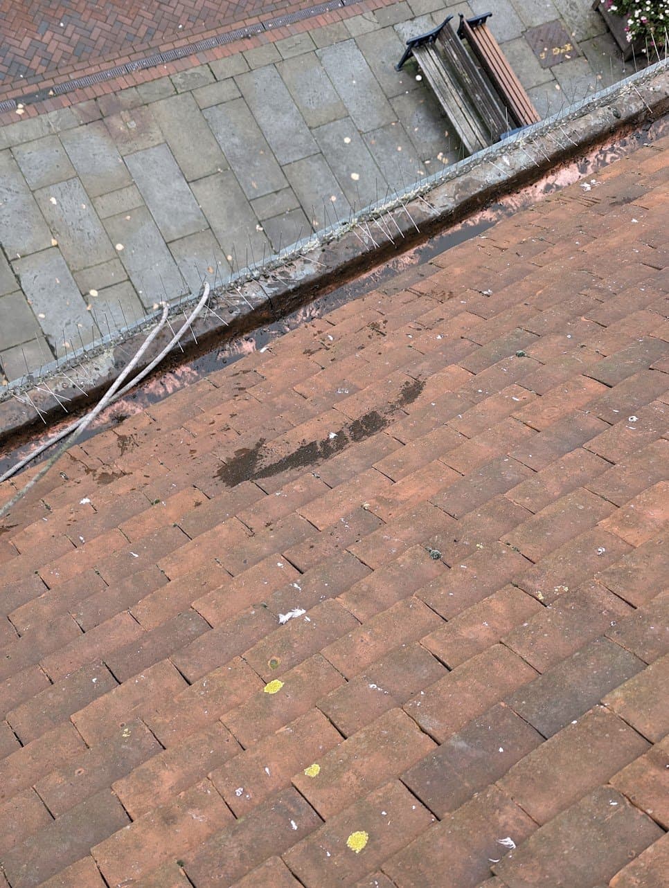 Before: parapet gutter loaded with guano and sediment around the pigeon spikes