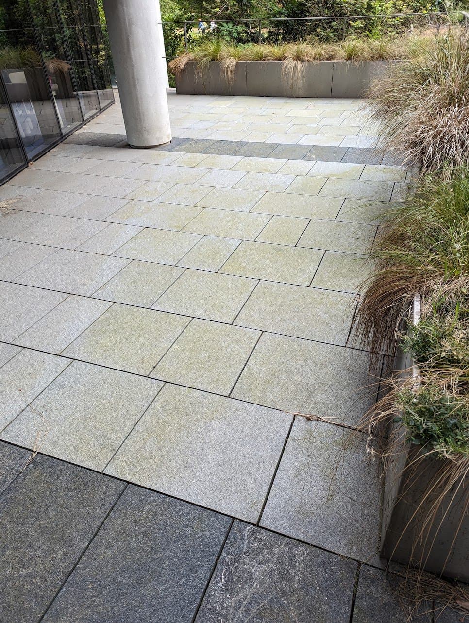 Before: granite terrace paving covered in algae