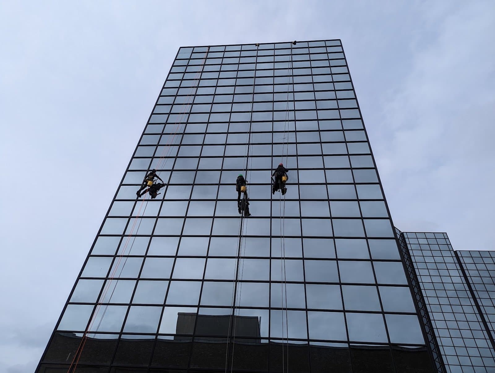 Three rope access technicians descending in parallel across a mirrored curtain wall elevation