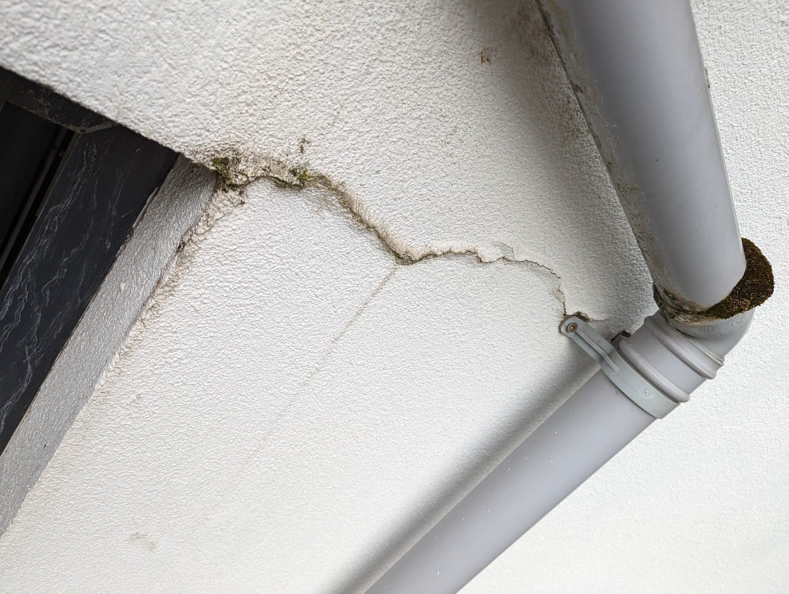 Before: a long crack with dirt and lichen beside the window, moss at the downpipe mouth
